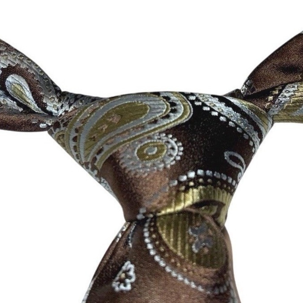 Gorgeous Axcess Men's Green & Brown paisley necktie Tie 60X3.3/4